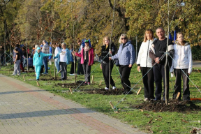 В Геленджике заложили новую аллею в честь 29 участников Великой Отечественной войны в рамках экопроекта «Дерево нашей семьи»