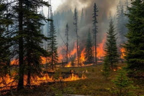 Огненный рубеж: Биробиджан опоясали 20-километровой защитной лентой от природных пожаров