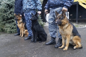 В Алтайском крае подвели итоги работы системы исполнения наказаний за 2025 год