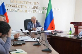 Дагестан засеял всего 2,5 тыс. га озимых: семян хватает лишь половине аграриев
