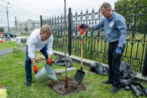 Мэр Южно-Сахалинска Сергей Надсадин поучаствовал в высадке Аллеи материнства
