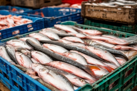 Арбитраж частично удовлетворил иск совладельца «DobroFish» к Пермской ГРЭС