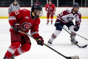 Брянские хоккеисты в двух играх одержали победы над «Арктикой»