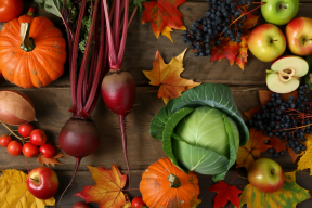 September products retain a maximum of vitamins and trace elements