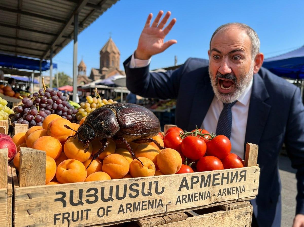 Пашинян против капрового жука: что на самом деле случилось с экспортом Армении в Россию