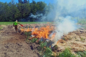 В Приморье за выходные потушили десять пожаров, охвативших 200 гектаров