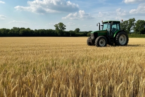 Новосибирская область – лидер аграрного экспорта в Сибири: губернатор Андрей Травников обозначил новые рекорды