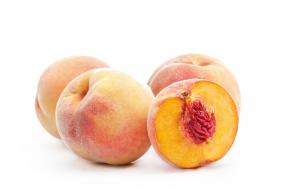 Export of Georgian peaches to Russia reached unprecedented levels
