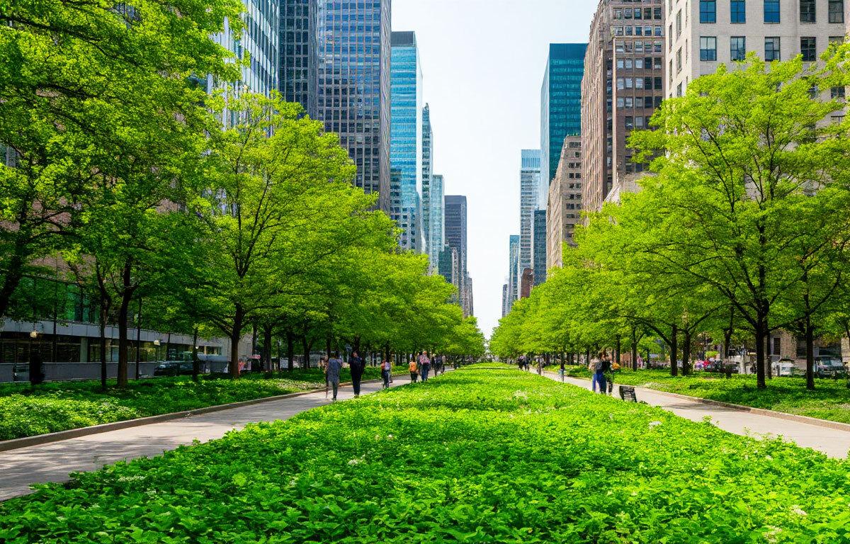 Глава Новороссийска Андрей Кравченко поставил амбициозную задачу: за 10 лет кардинально улучшить экологию и комфорт городской среды