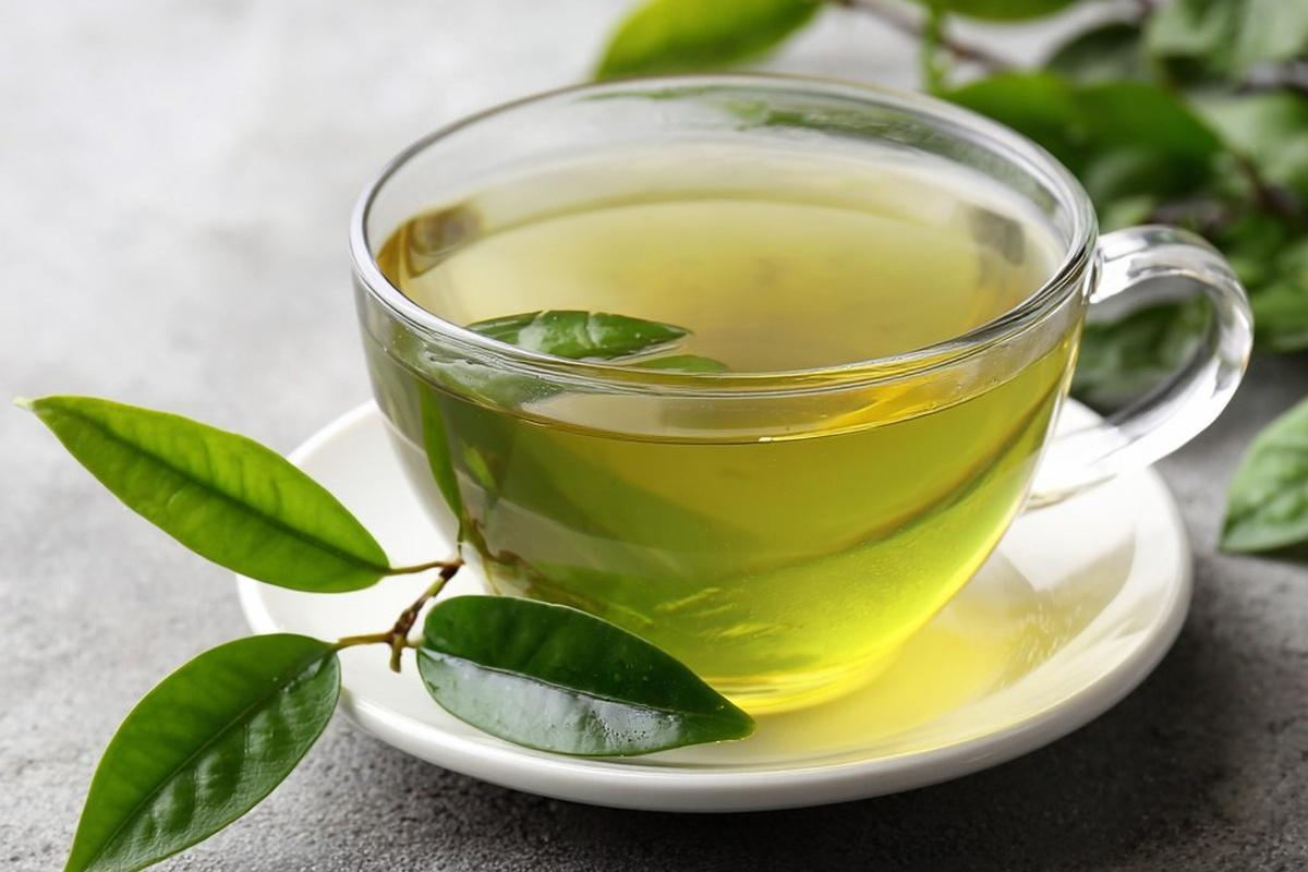 Green tea: myths and truth about the effect of popular drink on human health