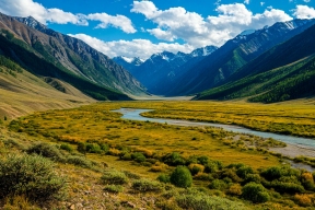 Become the director of Altai beauty: applications for the Place of Power film Forum are open