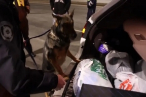 Усиленный контроль на Васильевском: облава на водителей и мигрантов