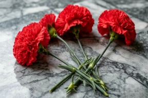 Память ученого и трех военнослужащих увековечат в Сыктывкаре