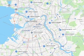 Районы Петербурга получат право выбирать места для выгула собак