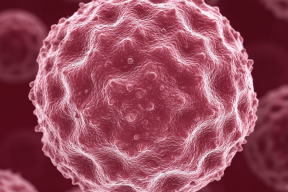 В Красноярском крае впервые бесплатно привьют девочек от вируса папилломы человека